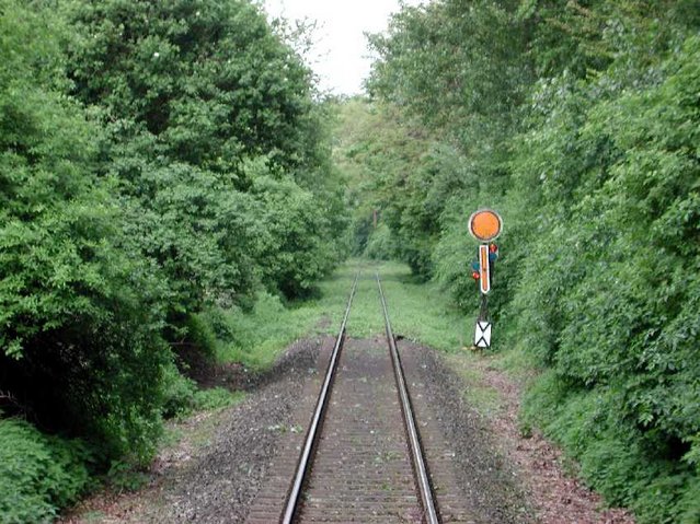 Klicken für Bild in voller Größe