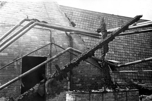 Klicken für Bild in voller Größe