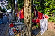 IMG_3477~0.jpg
