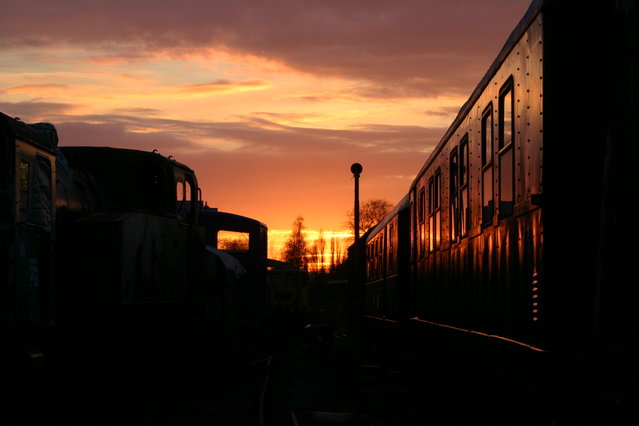 Klicken für Bild in voller Größe