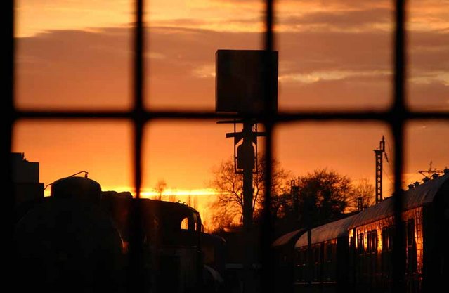 Klicken für Bild in voller Größe