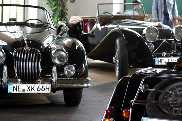 Klicken für Bild in voller Größe