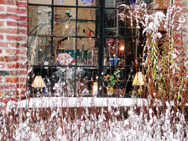 Klicken für Bild in voller Größe