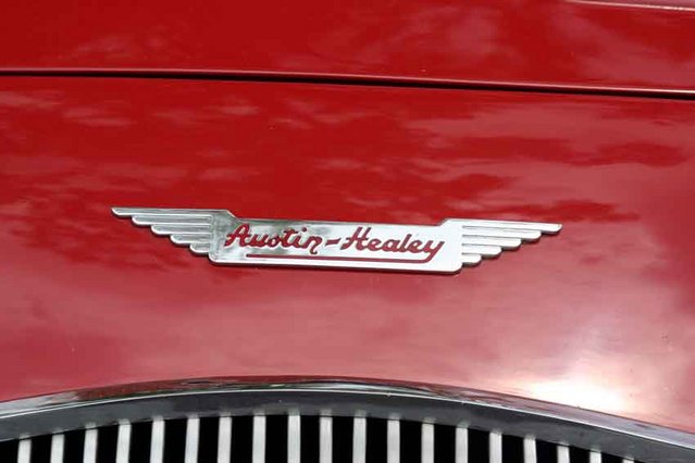 Klicken für Bild in voller Größe