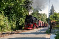 99_7247_Wernigerode-Westerntor_29_08_2013_(05).jpg