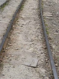 Dateiname: CIMG0308.JPG
Dateigröße: 92KB
Abmessungen: 478x638
hinzugefügt am: 19.März 2006 CIMG0308.JPG